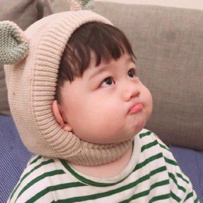 誰能憑愛意要富土山私有