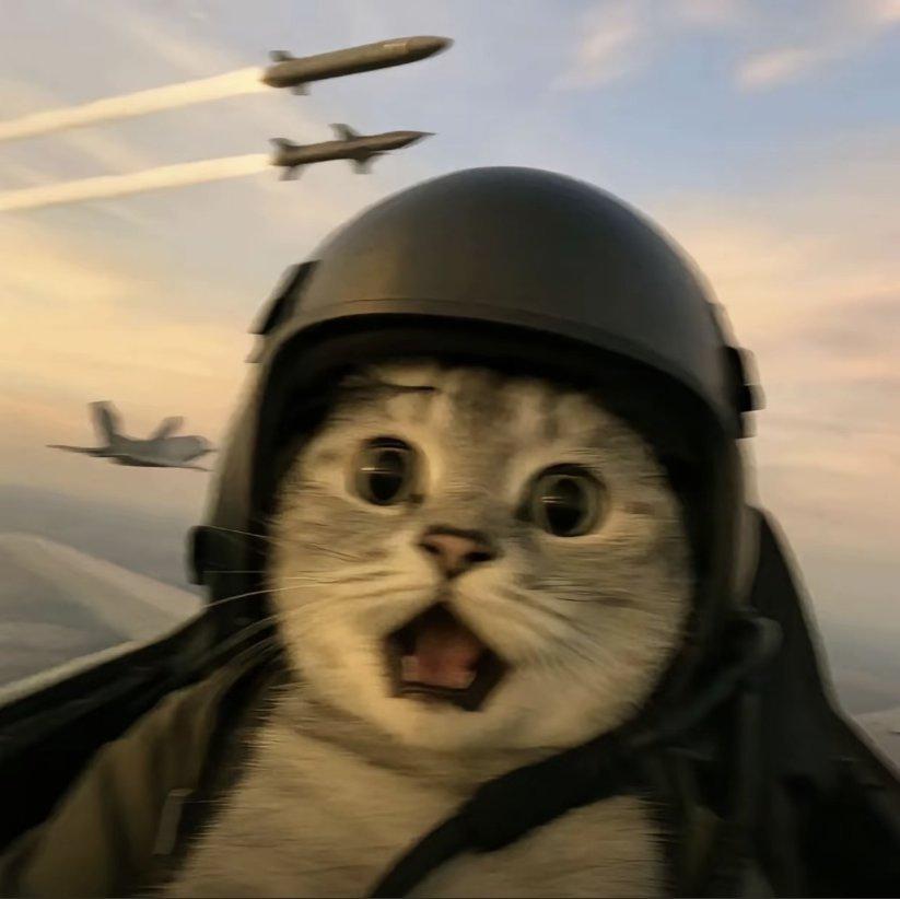 梦想遇到属于自己的山田杏奈