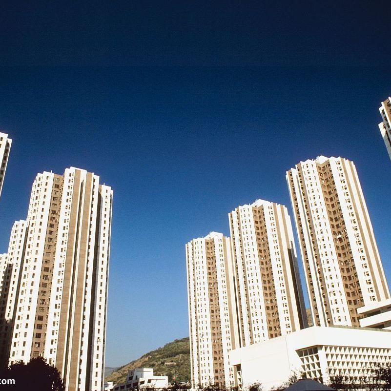 初学者 - 小峰封面