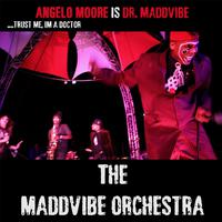 The Maddvibe Orchestra