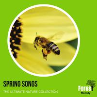 Spring Songs - The Ultimate Nature Collection