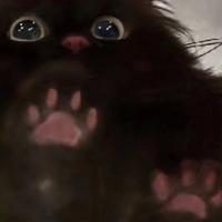 猫吻