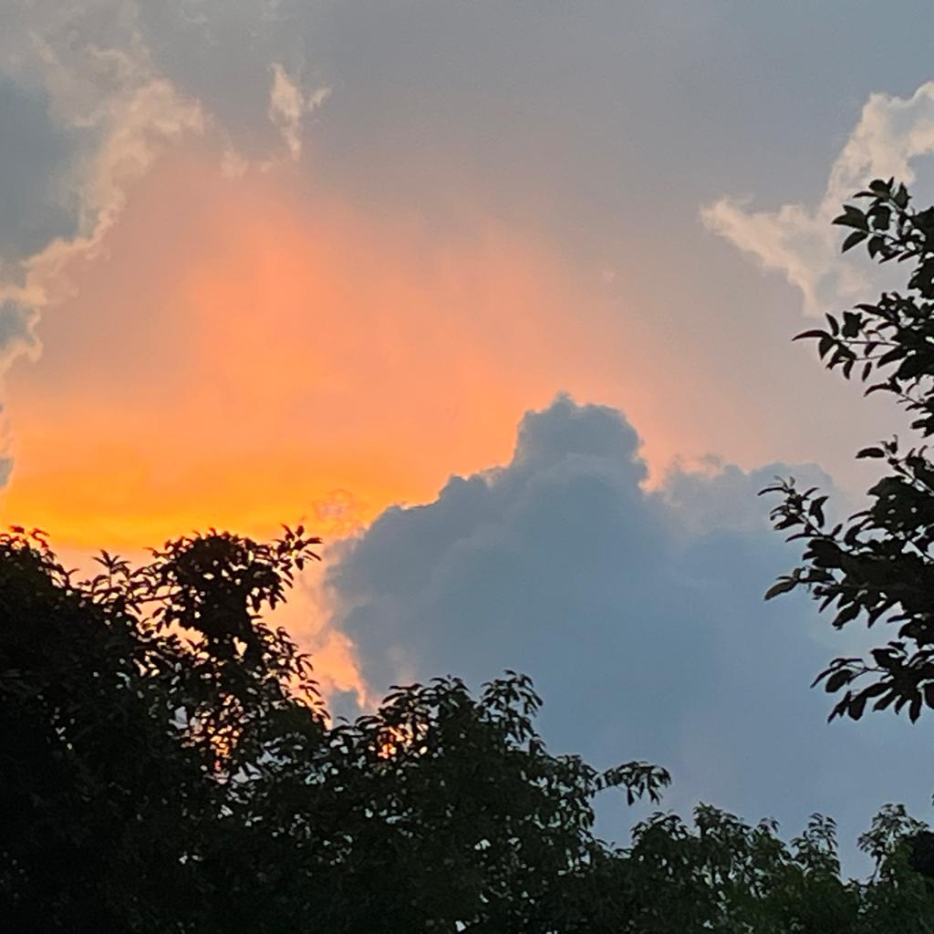 Cynthia的精神食粮