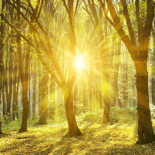 Sunny Day (Radio Edit)