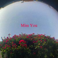 Miss You