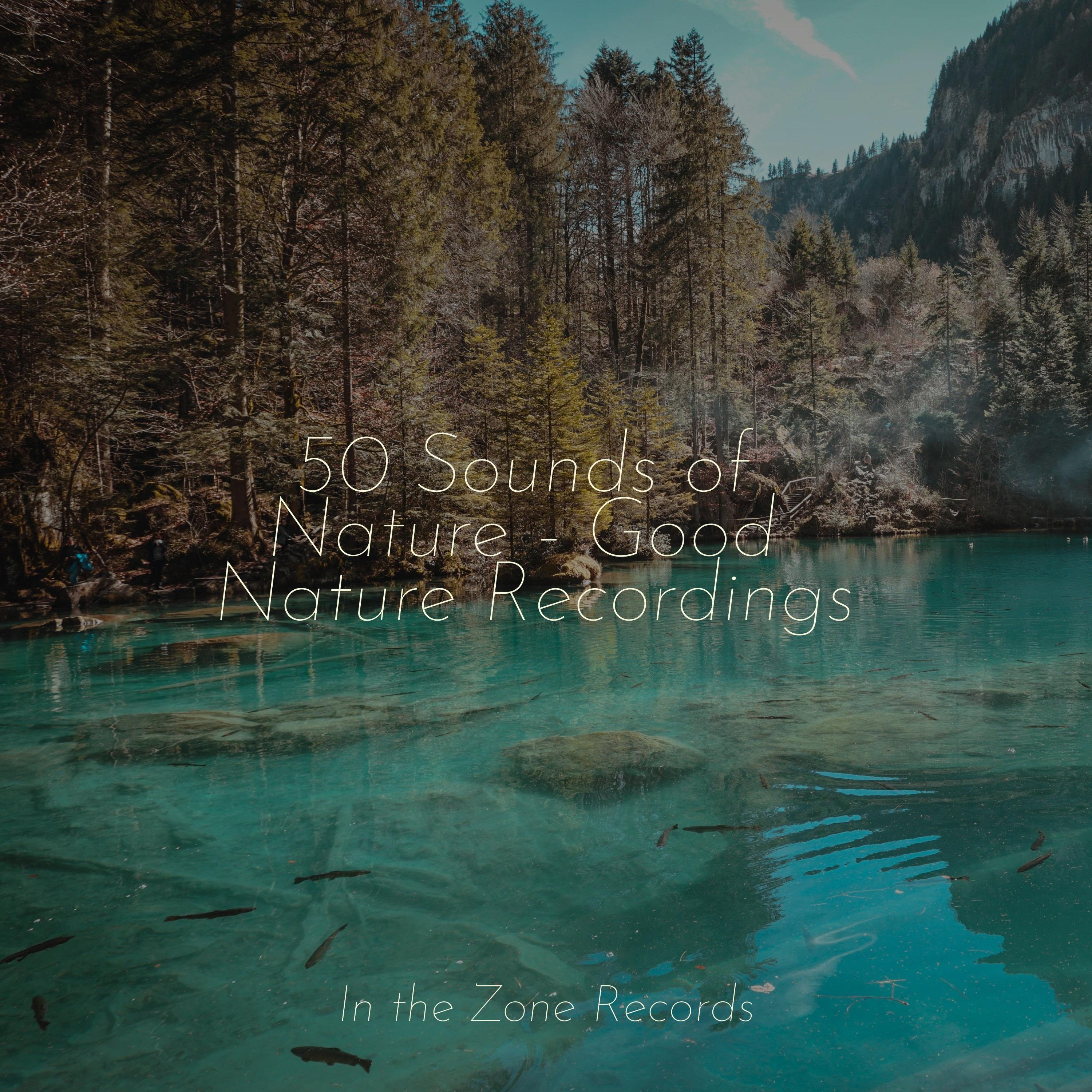 Fear Not_Yoga Sounds_50 Sounds of Nature - Good Nature Recordings | 在线播放_Fear Not歌词_Fear Not下载 | 网易云音乐