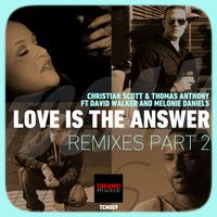 Love Is The Answer - Remixes 2