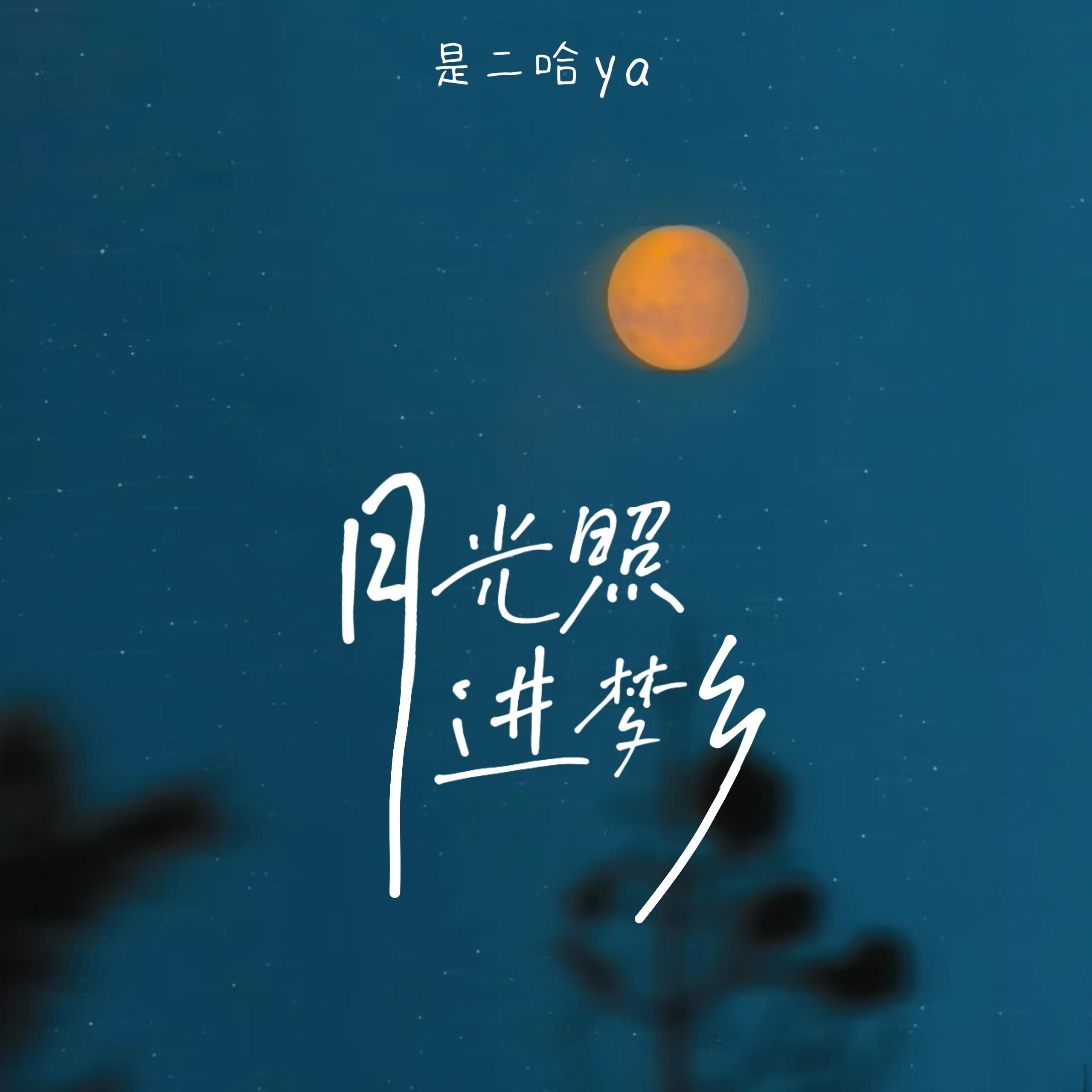 月光照进梦乡_是二哈ya_月光照进梦乡 | 在线播放_月光照进梦乡歌词_月光照进梦乡下载 | 网易云音乐