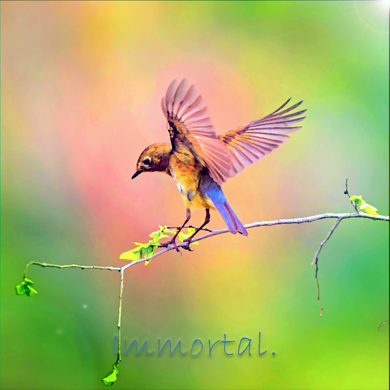 song-img