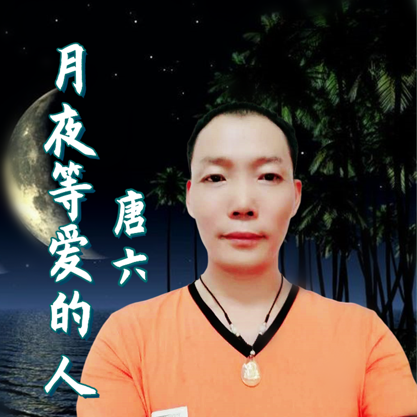 月夜等爱的人 (伴奏) - 唐六封面