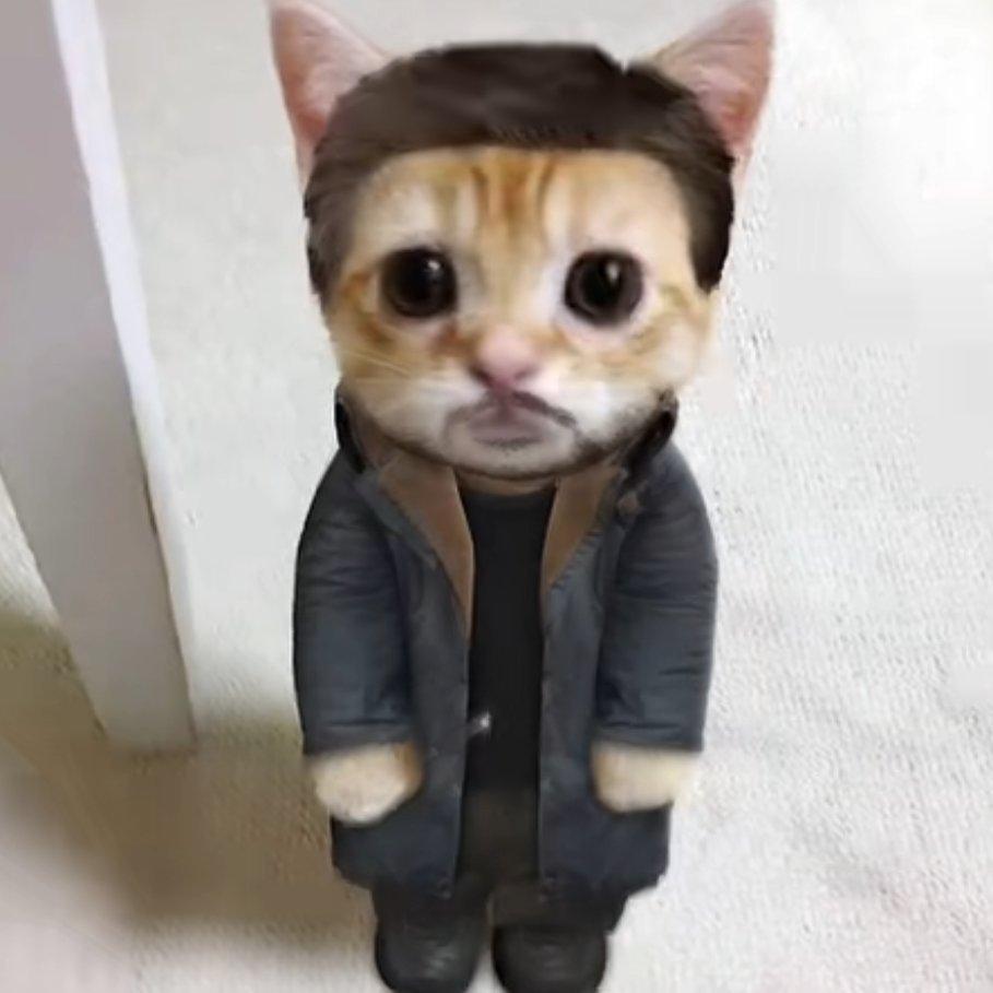 bro以为自己是瑞恩高司令