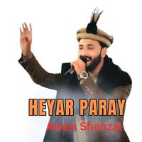 Heyar Paray (Shina Song)