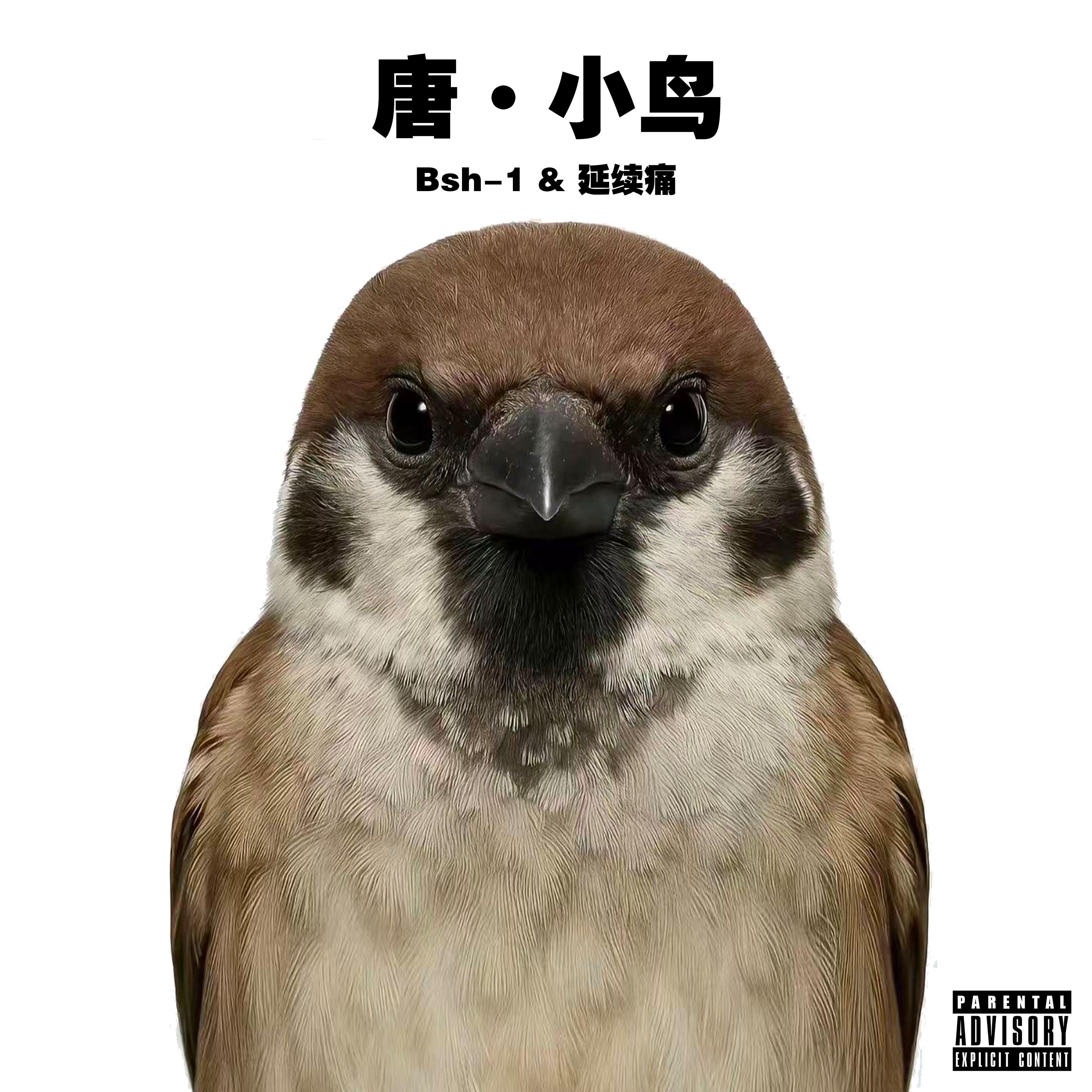 唐·小鸟