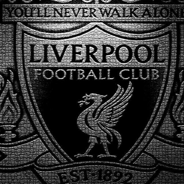 Fernando终极循环歌单