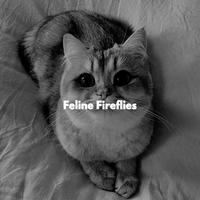 Feline Fireflies