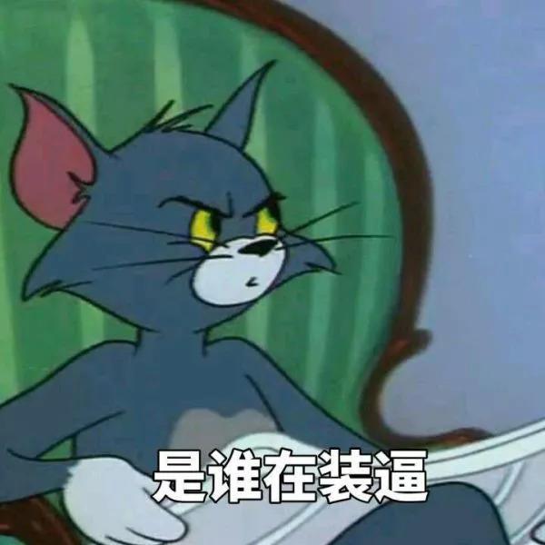 皇帝的新猫