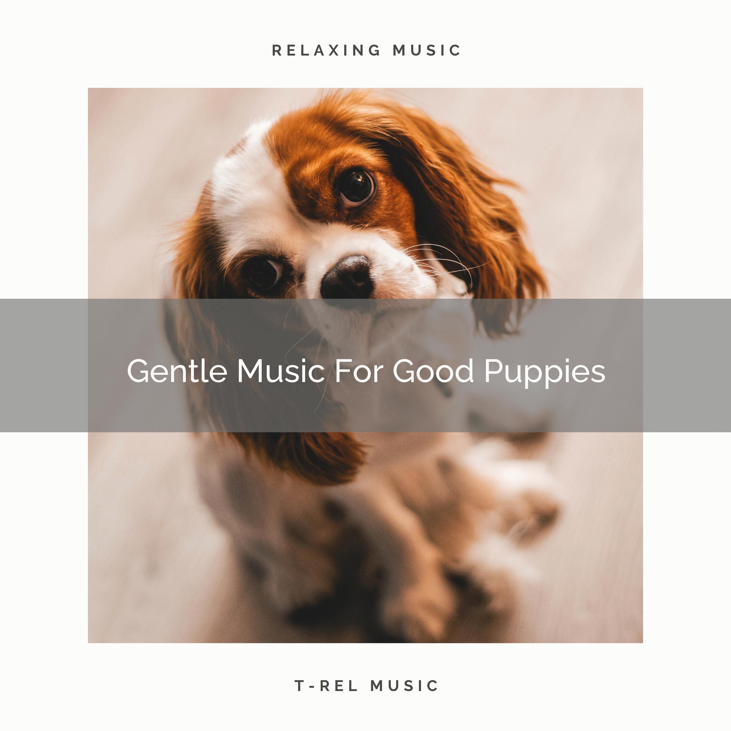 Gentle Tunes For Faithful Puppies