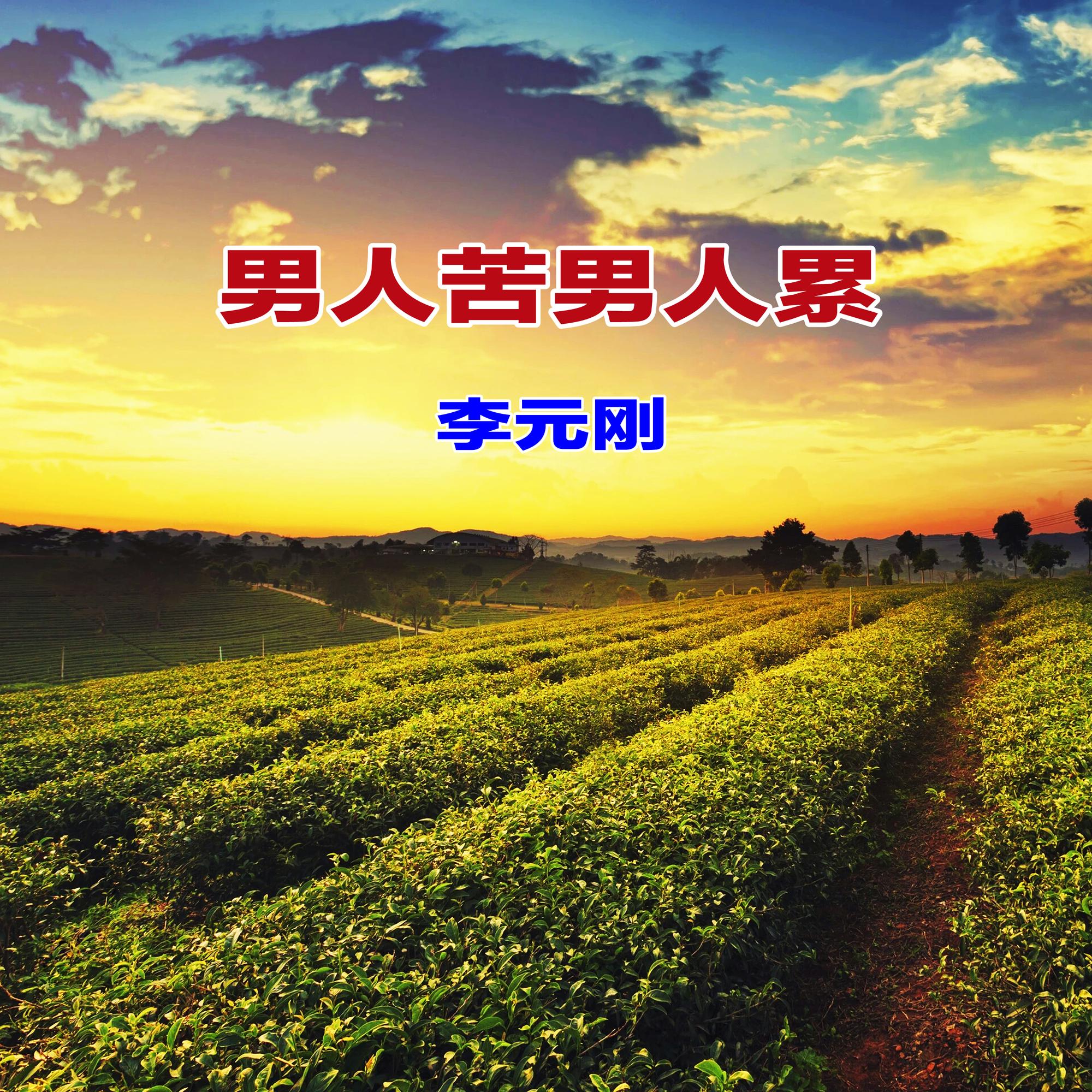 男人苦男人累封面
