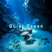 Quiet Ocean