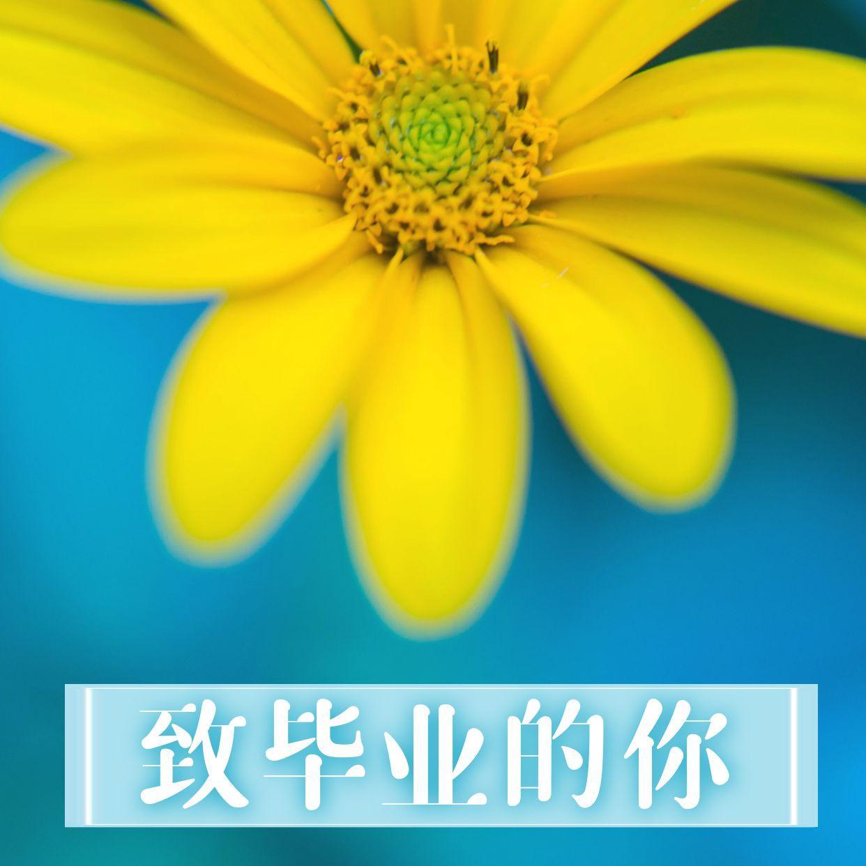 致毕业的你封面