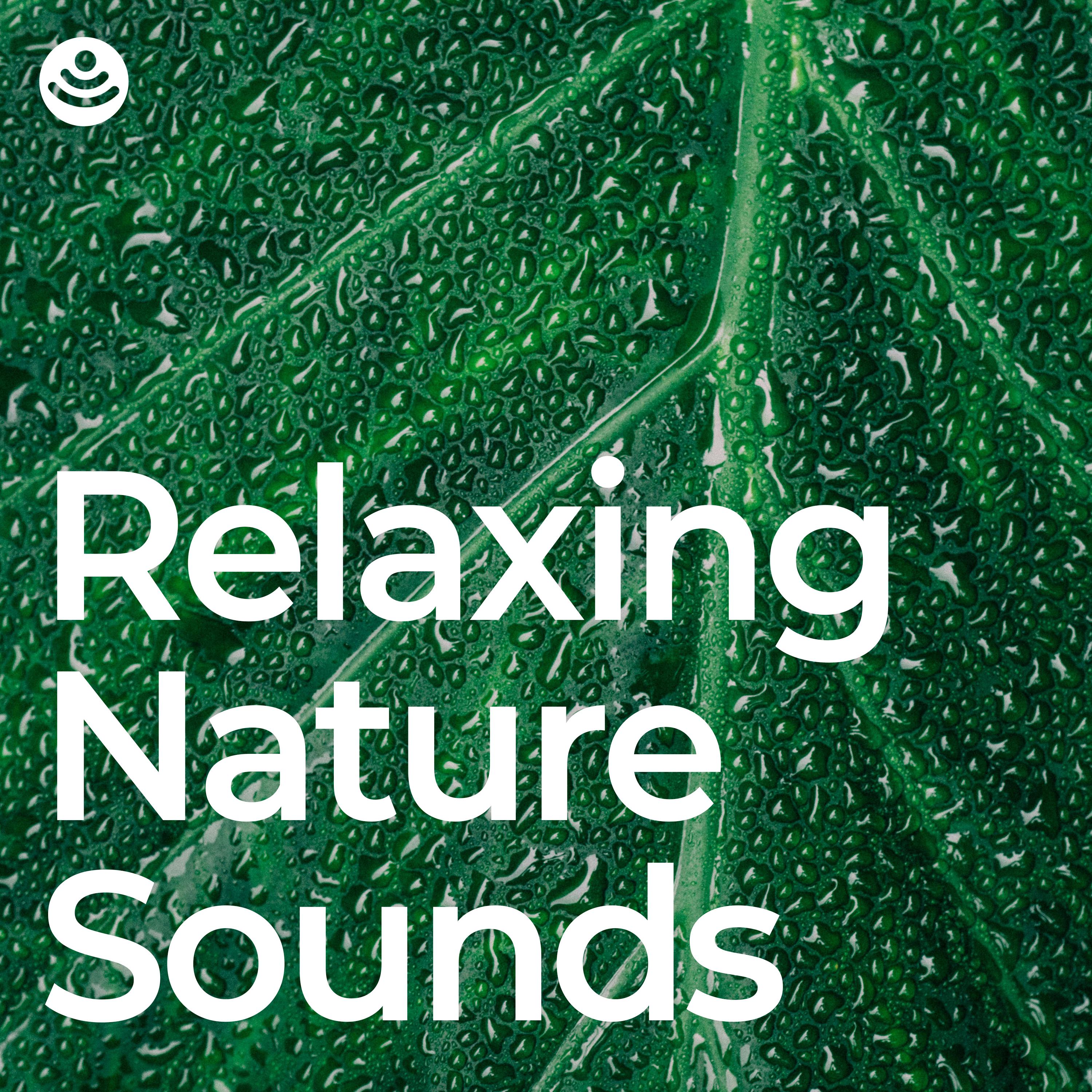 Relaxing Nature Relaxing Nature Sounds Collection Relaxing Sounds Of