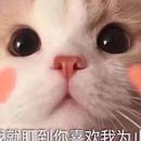 南书