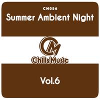 Summer Ambient Night, Vol. 6