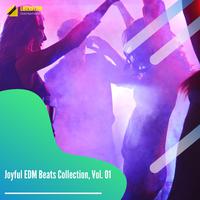 Joyful EDM Beats Collection, Vol. 01