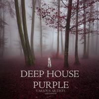 Deep House Purple