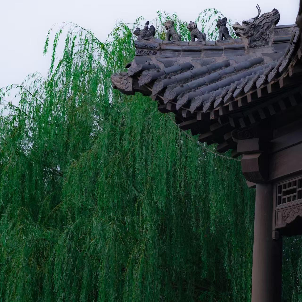 陶渊明封面
