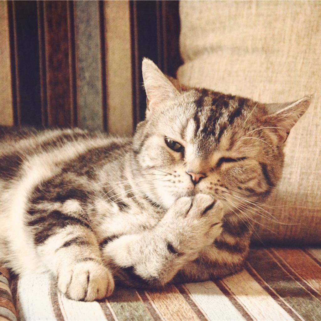 【刷级】你听过有10093首歌的歌单吗？