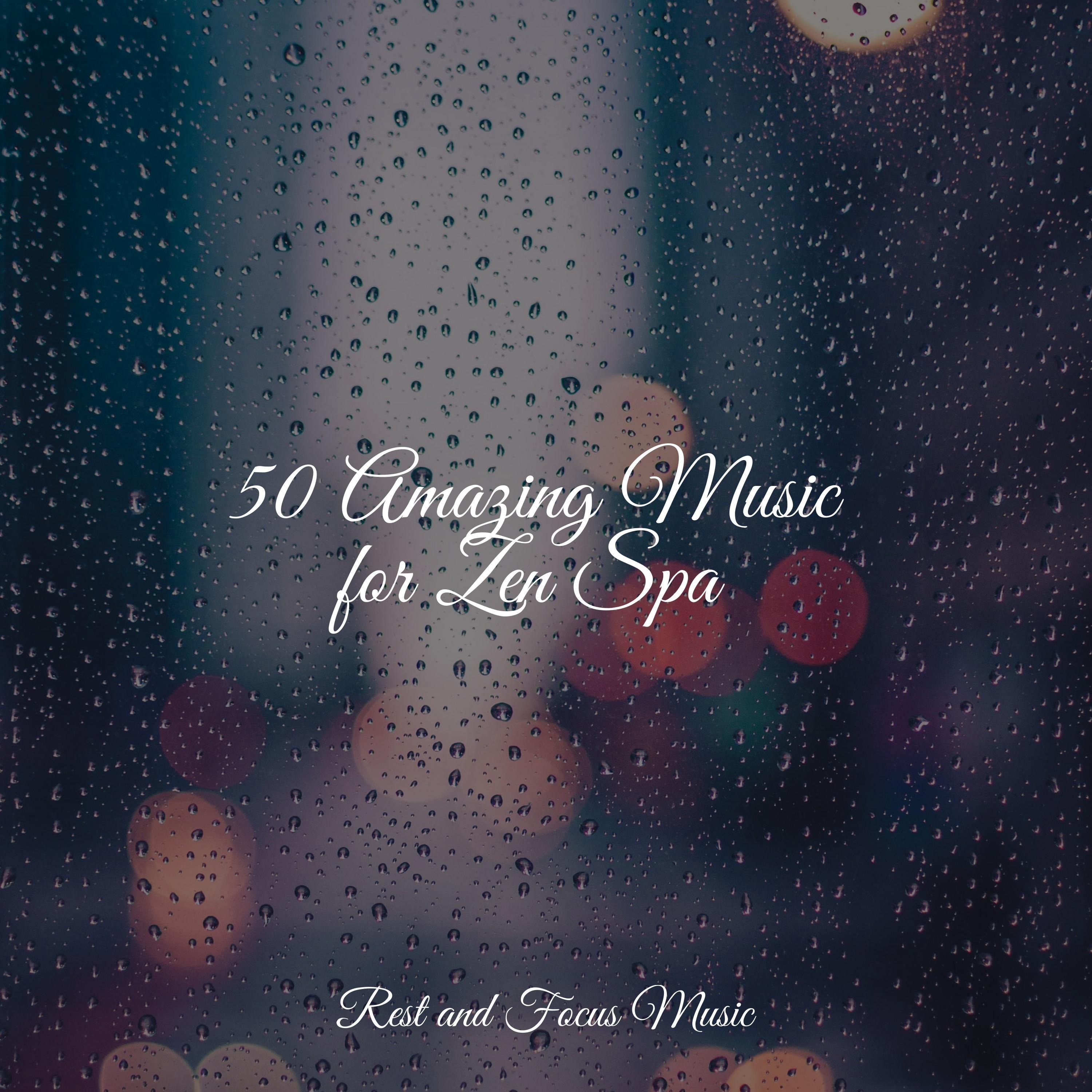 50 Amazing Music for Zen Spa - Sleep Sounds of Nature - 专辑 - 网易云音乐