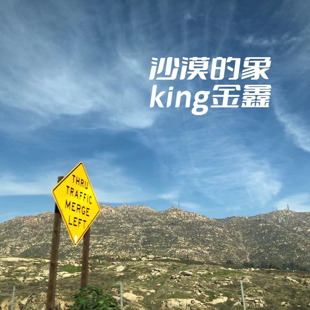 沙漠的象_king金鑫_沙漠的象 | 在线播放_沙漠的象歌词_沙漠的象下载 | 网易云音乐