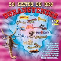 20 Exitos de Oro Duranguenses, Vol. 2