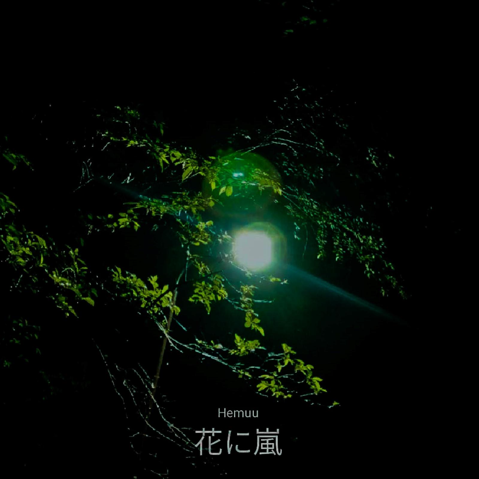 花に嵐封面