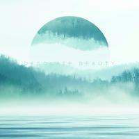 Desolate Beauty