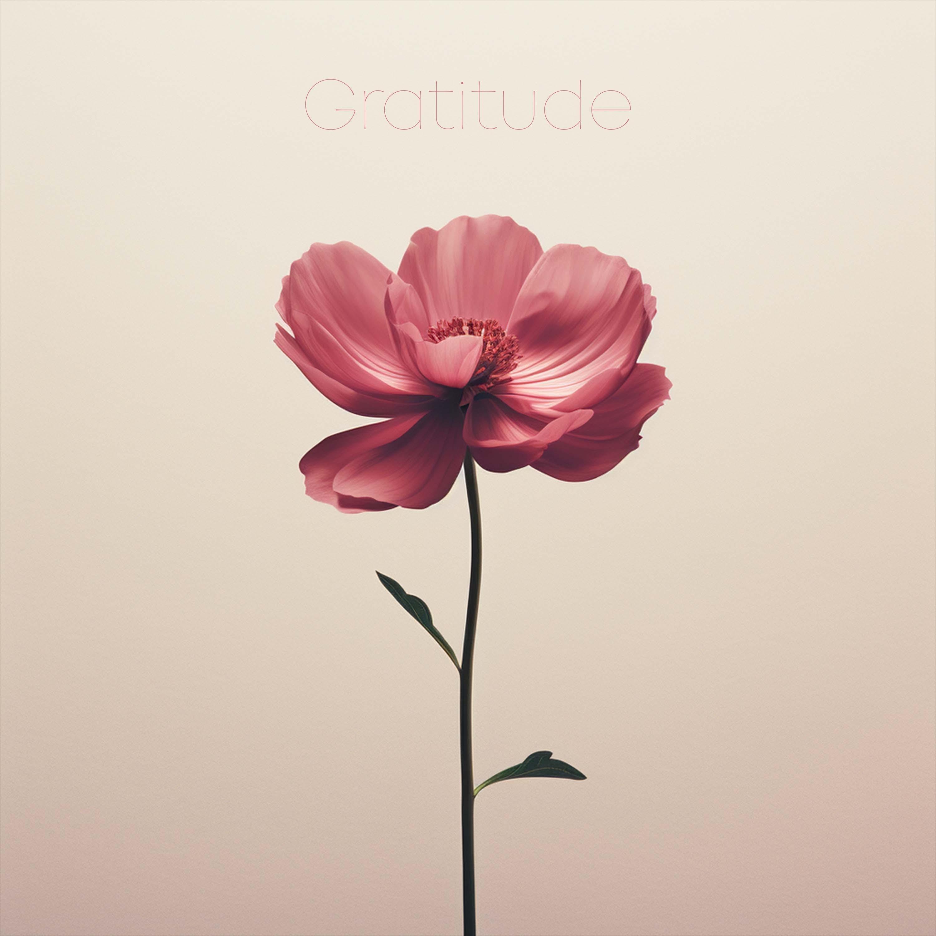 Gratitude