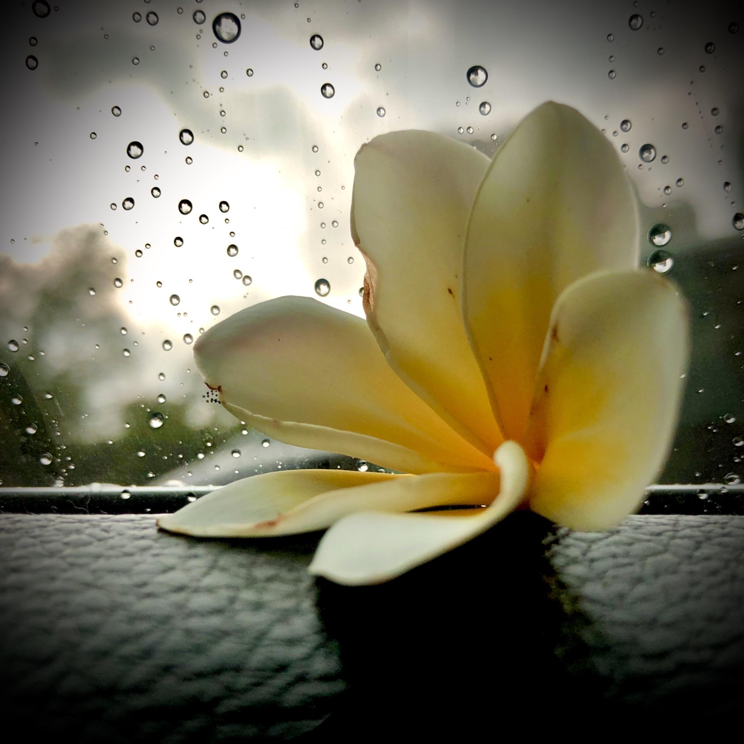 过云雨封面