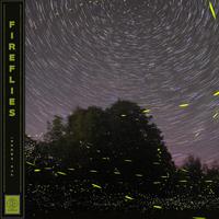 Fireflies