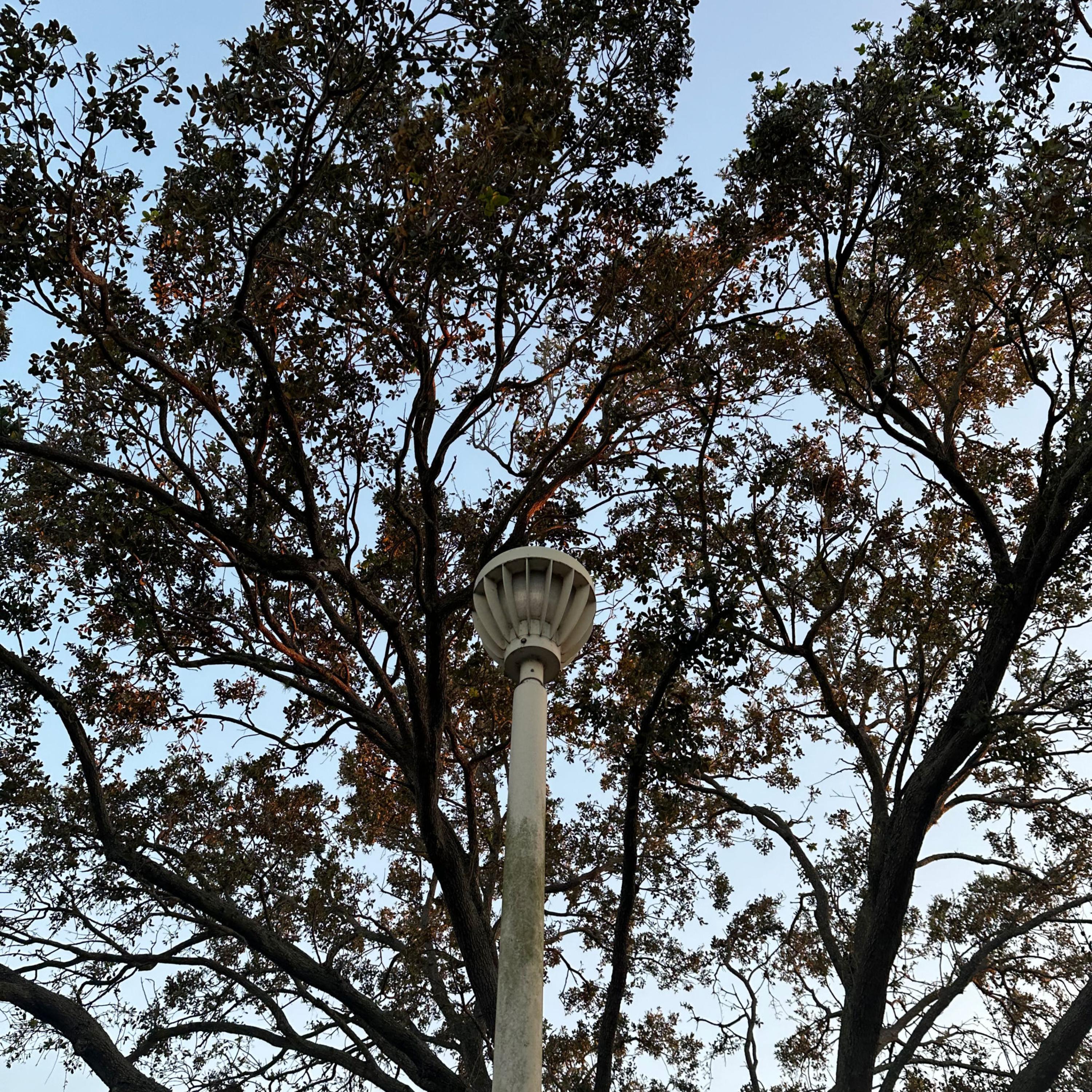 Souless (feat. vvsmalibu)