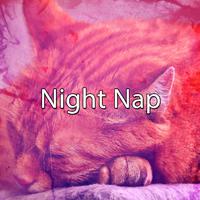 Night Nap