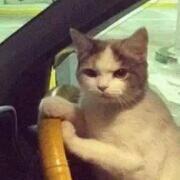 艾泽拉斯学院治愈系副教授