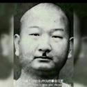 适合碰到棉花都容易受伤的人