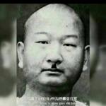 适合碰到棉花都容易受伤的人