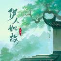 伊人如故专辑