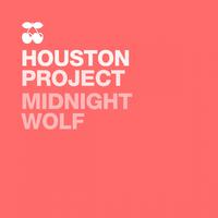Midnight Wolf