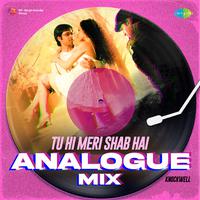 Tu Hi Meri Shab Hai - Analogue Mix