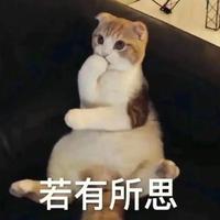 非专业版