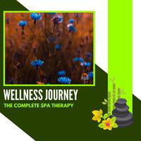 Wellness Journey - The Complete Spa Therapy