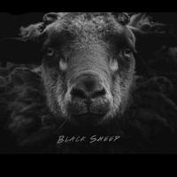 Black Sheep